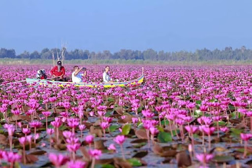 10 พูลวิลล่านครนายก